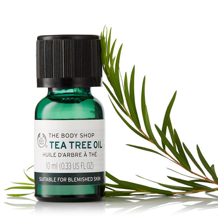 aftershave ingredient: tea tree oil